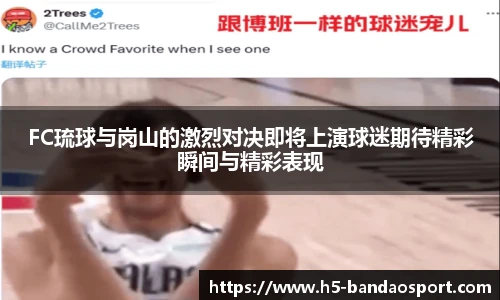 半岛体育网址