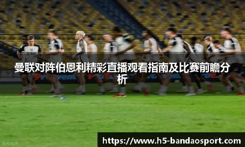 半岛体育网址