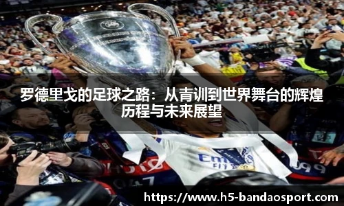 半岛体育官网