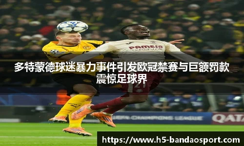 多特蒙德球迷暴力事件引发欧冠禁赛与巨额罚款震惊足球界